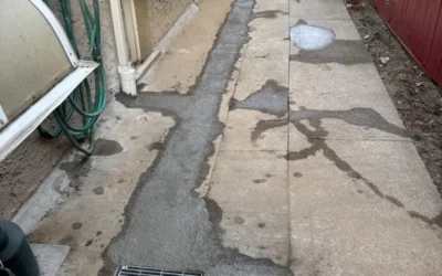 Case Study: Comprehensive Basement Mold Remediation & Waterproofing Project