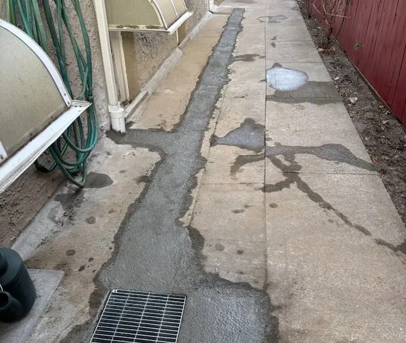 Case Study: Comprehensive Basement Mold Remediation & Waterproofing Project