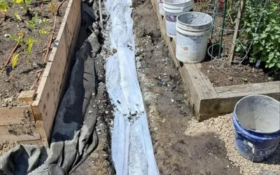 Case Study: Garden Drainage Improvement in Jericho, NY