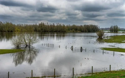 Effects of Flooding on Agriculture and Supply Chains