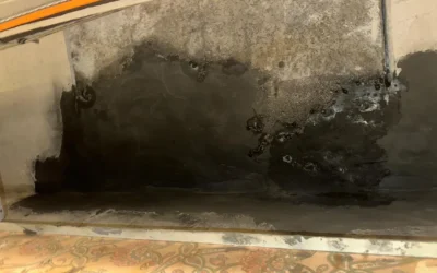 Case Study: Foundation Crack & Water Intrusion Investigation in South Setauket, NY