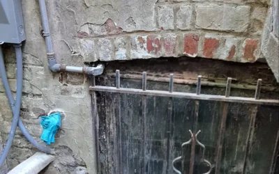 Case Study: Foundation Repair and Mold Remediation in Brooklyn, NY