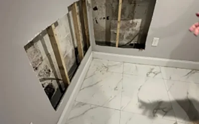 Case Study: Foundation Wall Collapse and Basement Cinder Block Waterproofing in Brooklyn, NY