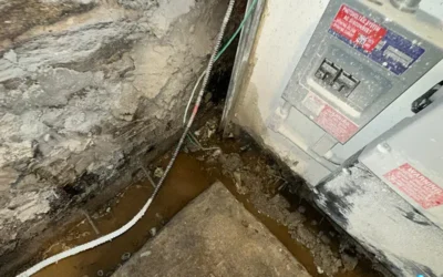 Case Study: Brooklyn Foundation Wall Restoration and Dimpled Membrane Waterproofing