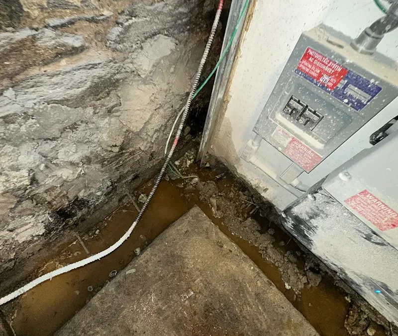 Case Study: Brooklyn Foundation Wall Restoration and Dimpled Membrane Waterproofing