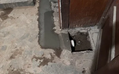 Case Study: Foundation Wall Crack Repair and Waterproofing in Brooklyn, NY