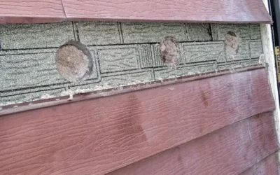 Case Study: Exterior Wall Insulation and Energy-Efficient Window Replacement in Elmont, Nassau County