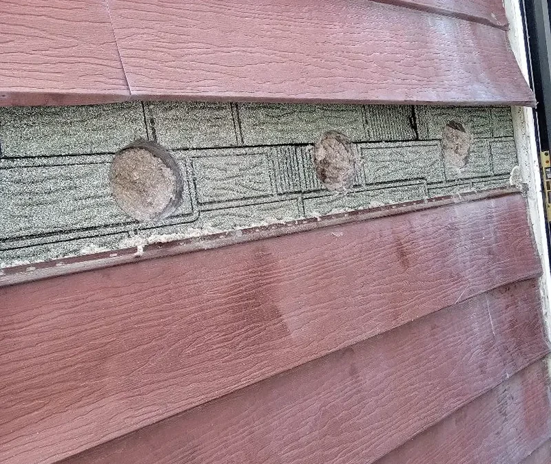 Case Study: Exterior Wall Insulation and Energy-Efficient Window Replacement in Elmont, Nassau County