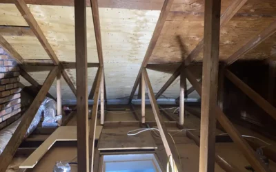 Farmingdale Attic & Wall Insulation Upgrade | Mold Spray + Eco-Friendly Solutions