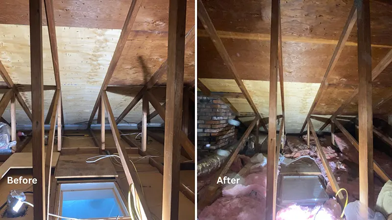 photos from project