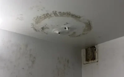 Case Study: Bathroom Mold Remediation – Brooklyn, NY