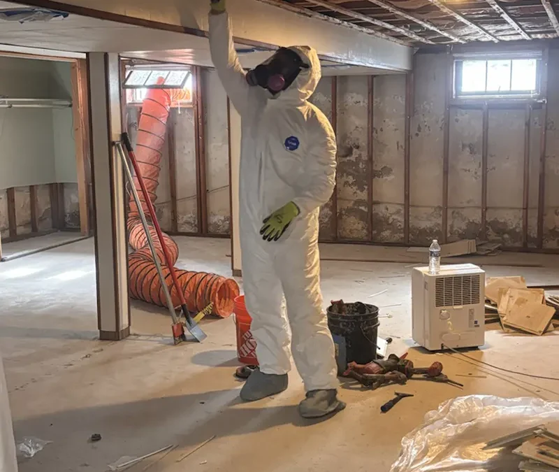 Mold Remediation and Structural Waterproofing in Farmingdale, NY