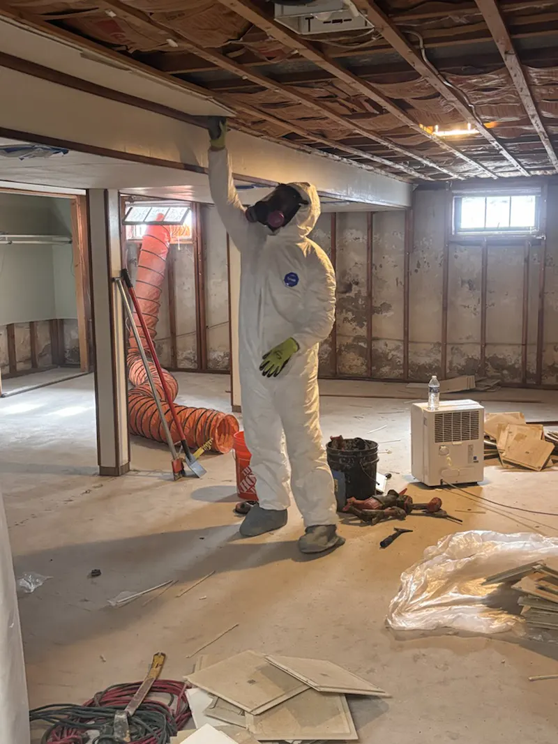 Mold Remediation and Structural Waterproofing in Farmingdale, NY
