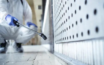 Commercial Mold Remediation: Protecting NY Businesses with Expert Solutions