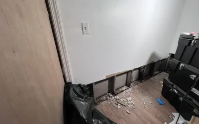 Case Study: Basement Demolition & Mold Remediation – Brooklyn, NY