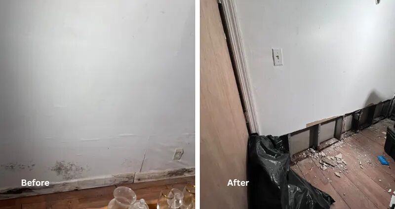 Mold Removal and Framing Demolition – Brooklyn, NY - A Before and After Picture of Mold Remediation