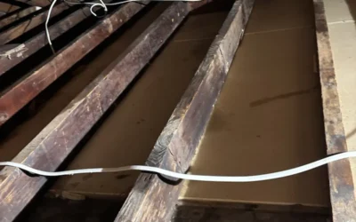 Mold Removal & Insulation in Farmingdale, NY