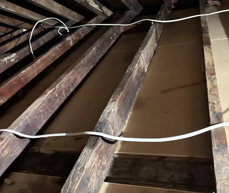Mold Removal & Insulation in Farmingdale, NY