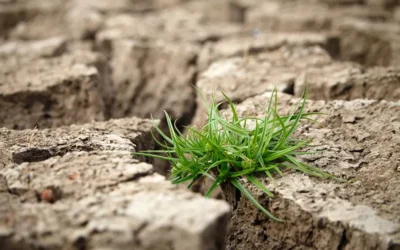 Soil Injection for Foundation Stabilization: How It Works and Why New York Homeowners Need It