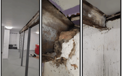 Case Study: Structural Support Reinforcement and Crack Repair in Floral Park, NY