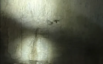 Case Study: Crawl Space Foundation Wall Crack Repair in Lindenhurst, NY