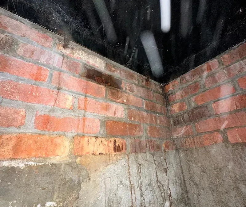 Case Study: Foundation Wall Base Waterproofing in Melville, NY