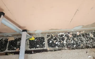 Case Study: Northport, NY Basement and Boiler Room Water Intrusion Repair