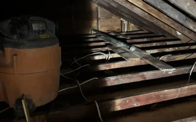 Case Study: Insulation Replacement & Mold Remediation in Garden City, NY