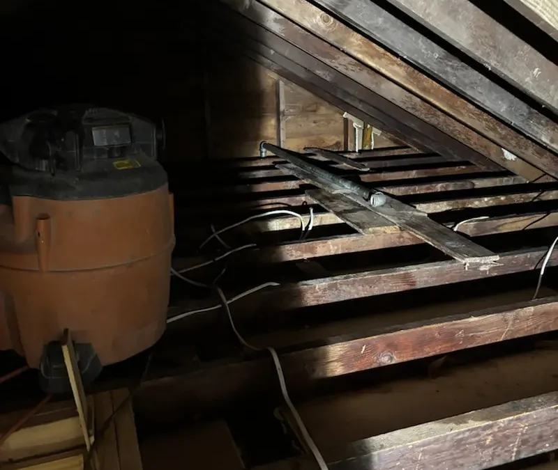 Case Study: Insulation Replacement & Mold Remediation in Garden City, NY