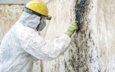 Commercial Mold Inspection Services in Long Island, Brooklyn, Queens, and the Bronx