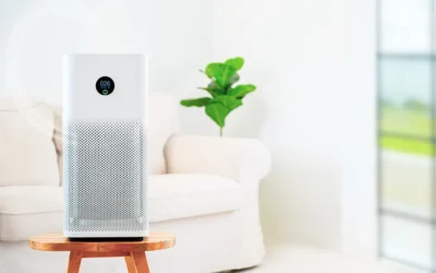 Air Purifier for Mold: How to Protect Your Home from Mold Spores