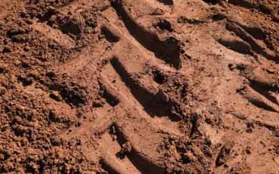 Bare the Ground: What Expansive Clay Soil Means for Your Foundation—and How to Stop It