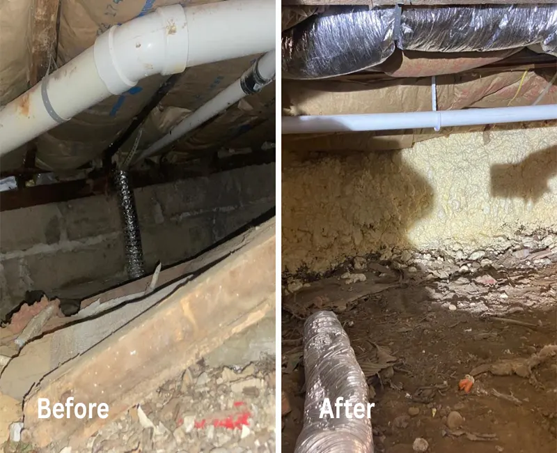 Closed-cell spray foam crawl space insulation improving energy efficiency and air quality.