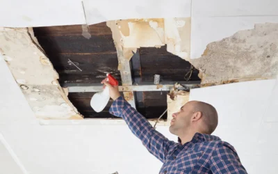 How Mold Damages Different Surfaces and What to Do About Each)