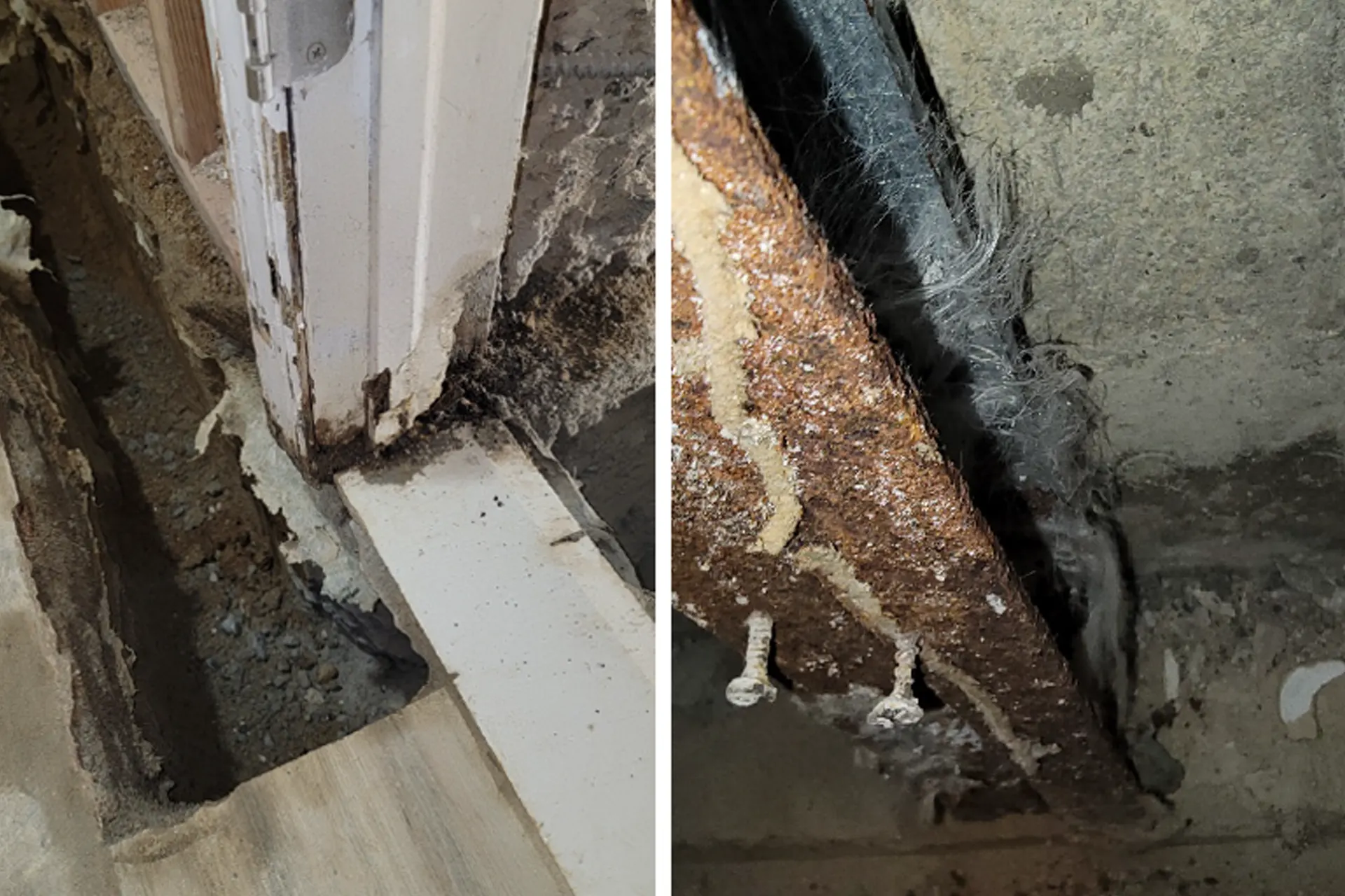Basement Mold Remediation Cost in New York: A Before and After Image from a Mold Remediation Project in Queens, NY, by Zavza Seal