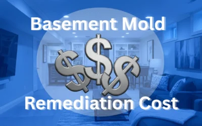 Basement Mold Remediation Cost in New York | Average Prices & Key Factors