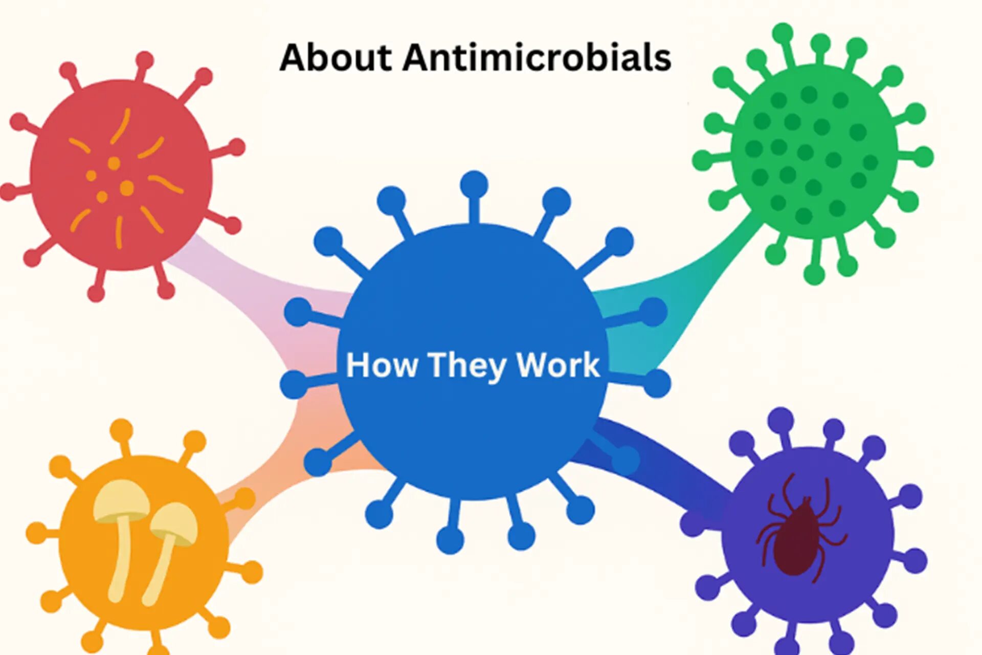 Antimicrobial Agent for Mold - A Colorful Graphic on How Antimicrobials Work