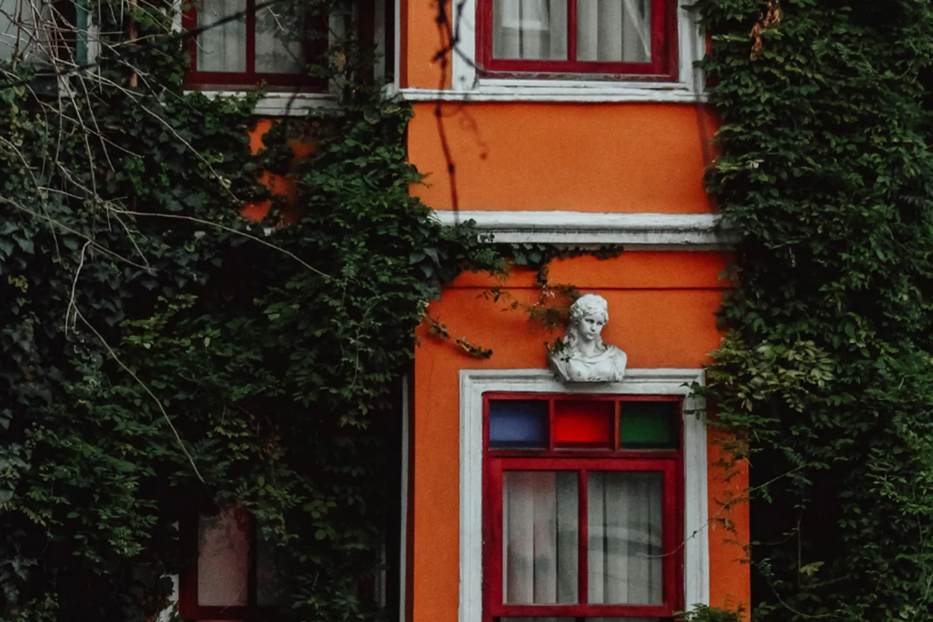 Can Tree Roots Damage Foundations - A Brooklyn Style Townhome with English Ivy Growing Around it