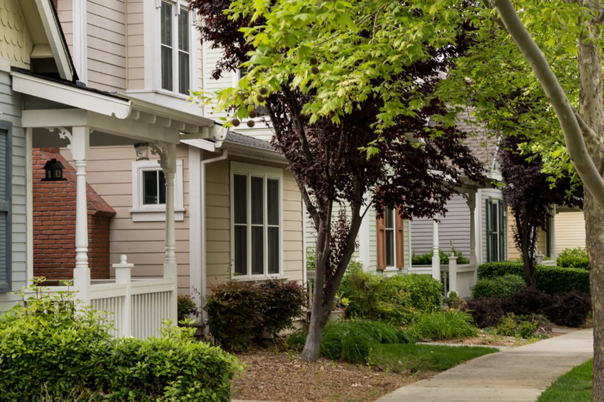 Can Tree Roots Damage Foundations - Ornamental Trees Growing Around a Group of Cluster Homes in a Neighborhood