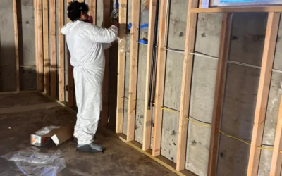 Antimicrobial Agent for Mold: What It Is, How It Works, and When to Use It