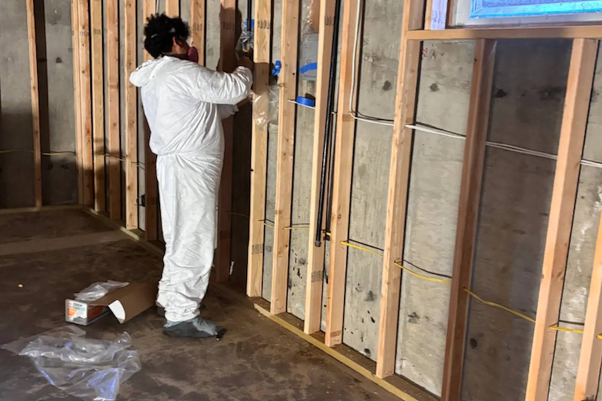 Does Renters Insurance Cover Mold? - The Zebra