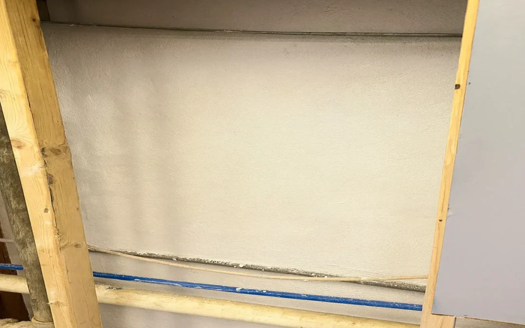 Case Study: Basement Water Intrusion Repair in Elmont, NY