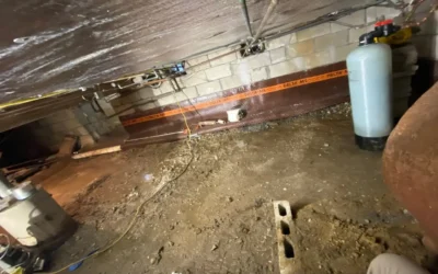 Crawl Space Damage: Complete Homeowner’s Guide To Risks, Repairs, And Prevention