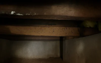 Termite Damage in Crawl Spaces: Expert Repair and Prevention for New York Homes