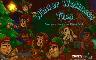 Winter Wellness Tips from the Guys & Girls at Zavza Seal