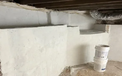 Case Study: Basement and Crawlspace Encapsulation, Structural Reinforcement, and Waterproofing in Southampton, NY