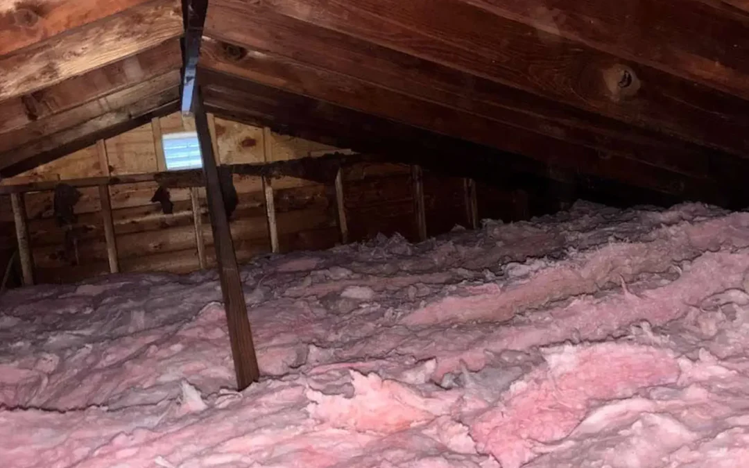 Case Study: Attic Insulation Upgrade in Islip, NY