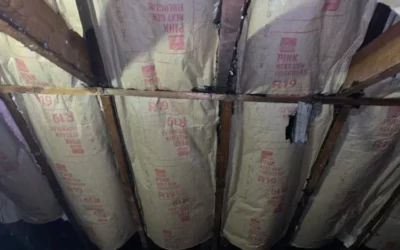 Case Study: Attic Insulation and Air Sealing in Mineola, NY