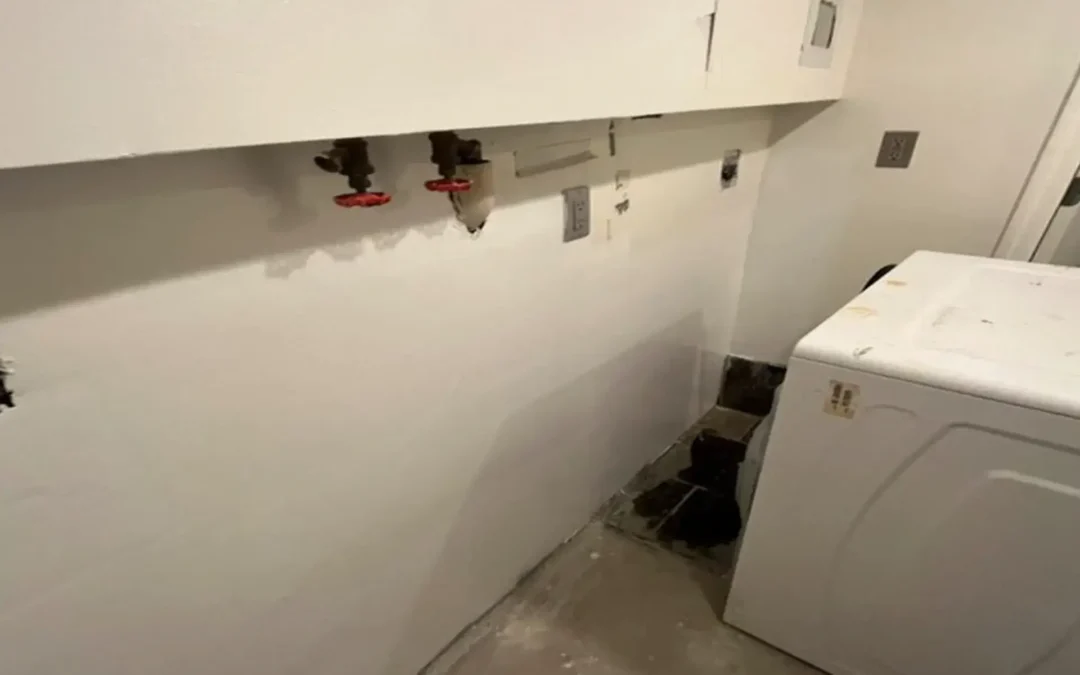 Case Study: Sewer Line Repair and Basement Waterproofing in Brooklyn, NY