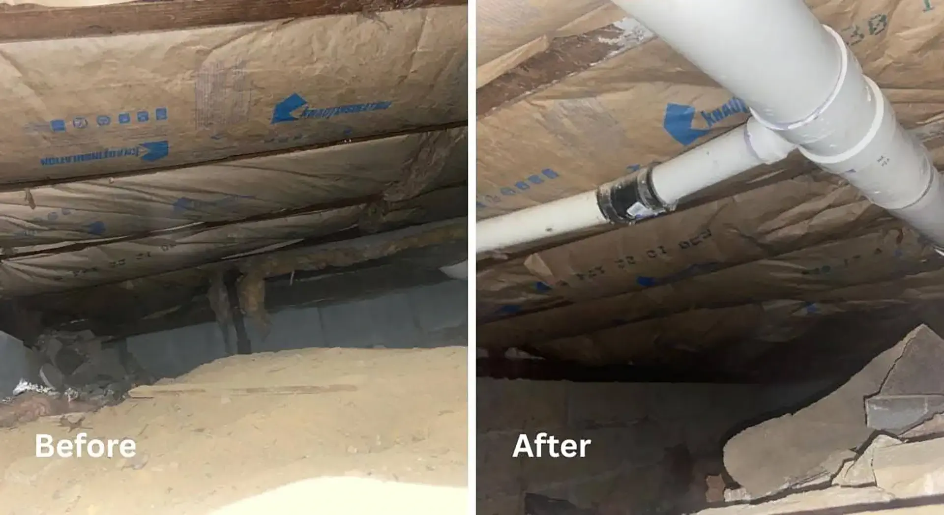 Why Professional Diagnosis Is Critical for Basement Dampness